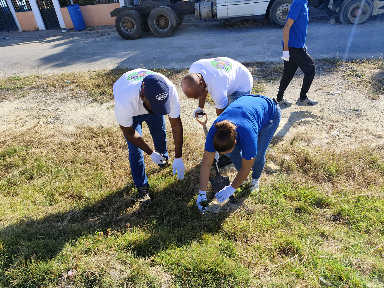 Jornada de reforestación